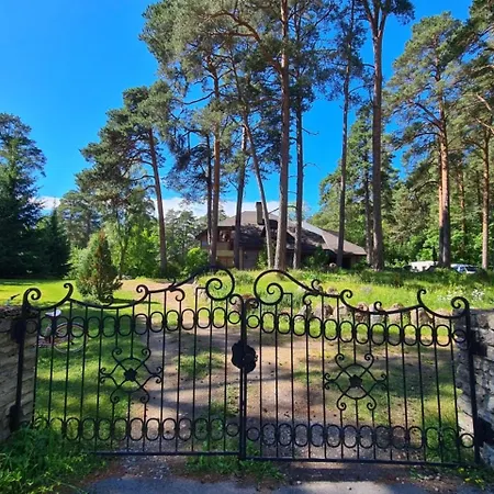 Vabaduse Apartment