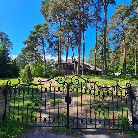Vabaduse Apartmán